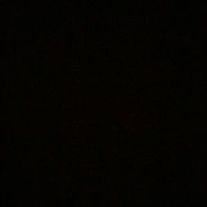 Meet your Posher, Evelyn